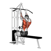 Animación de cable reverse-grip straight back seated high row