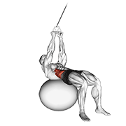 Animación de cable russian twists (on stability ball)
