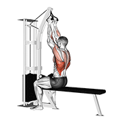 Animación de cable seated high row (v-bar)