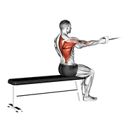 Animación de cable seated one arm alternate row