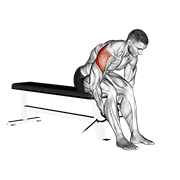 Animación de cable seated rear lateral raise