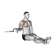 Animación de cable seated shoulder internal rotation