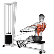 Animación de cable seated wide-grip row