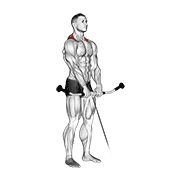 Animación de cable shrug