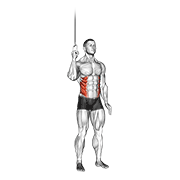 Animación de cable side crunch