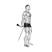 Animación de cable standing back wrist curl