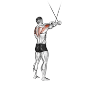 Animación de cable standing cross-over high reverse fly