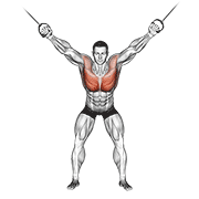 Animación de cable standing fly