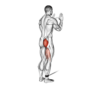 Animación de cable standing hip extension