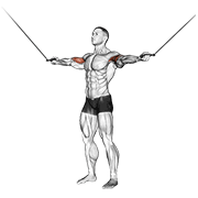 Animación de cable standing inner curl