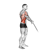 Animación de cable standing lift