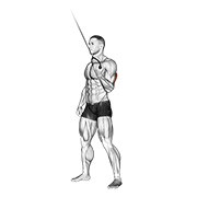 Animación de cable standing one arm triceps extension