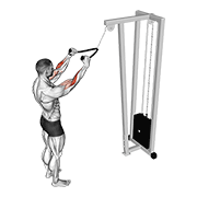 Animación de cable standing pulldown (with rope)