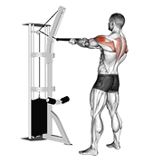 Animación de cable standing rear delt row (with rope)