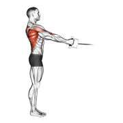 Animación de cable standing row (v-bar)