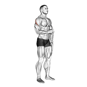 Animación de cable standing shoulder external rotation