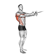Animación de cable standing twist row (v-bar)