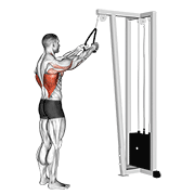 Animación de cable straight arm pulldown (with rope)