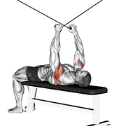 Animación de cable supine reverse fly