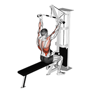 Animación de cable underhand pulldown