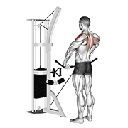 Animación de cable upright row