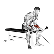 Animación de cable wrist curl