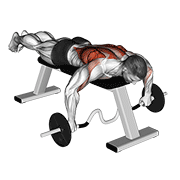 Animación de cambered bar lying row
