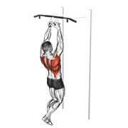 Animación de chin-ups (narrow parallel grip)