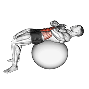 Animación de crunch (on stability ball)