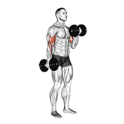 Animación de dumbbell alternate biceps curl
