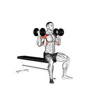 Animación de dumbbell arnold press v. 2