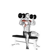 Animación de dumbbell bench seated press