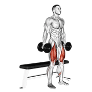 Animación de dumbbell bench squat