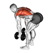 Animación de dumbbell bent over row