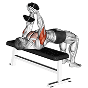 Animación de dumbbell close-grip press
