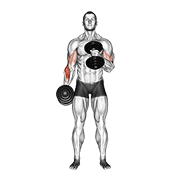 Animación de dumbbell cross body hammer curl
