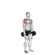 Animación de dumbbell cuban press