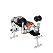 Animación de dumbbell decline bench press