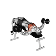 Animación de dumbbell decline fly