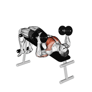 Animación de dumbbell decline hammer press