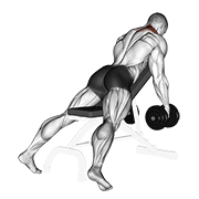 Animación de dumbbell decline shrug v. 2