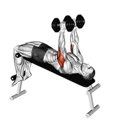 Animación de dumbbell decline triceps extension