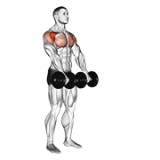Animación de dumbbell front raise