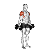 Animación de dumbbell full can lateral raise
