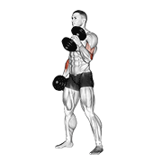 Animación de dumbbell hammer curl