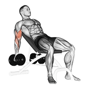 Animación de dumbbell incline biceps curl