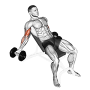 Animación de dumbbell incline inner biceps curl