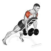 Animación de dumbbell incline rear lateral raise