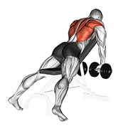 Animación de dumbbell incline row