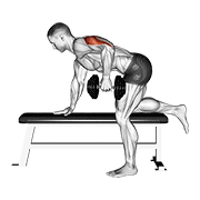 Animación de dumbbell kickback